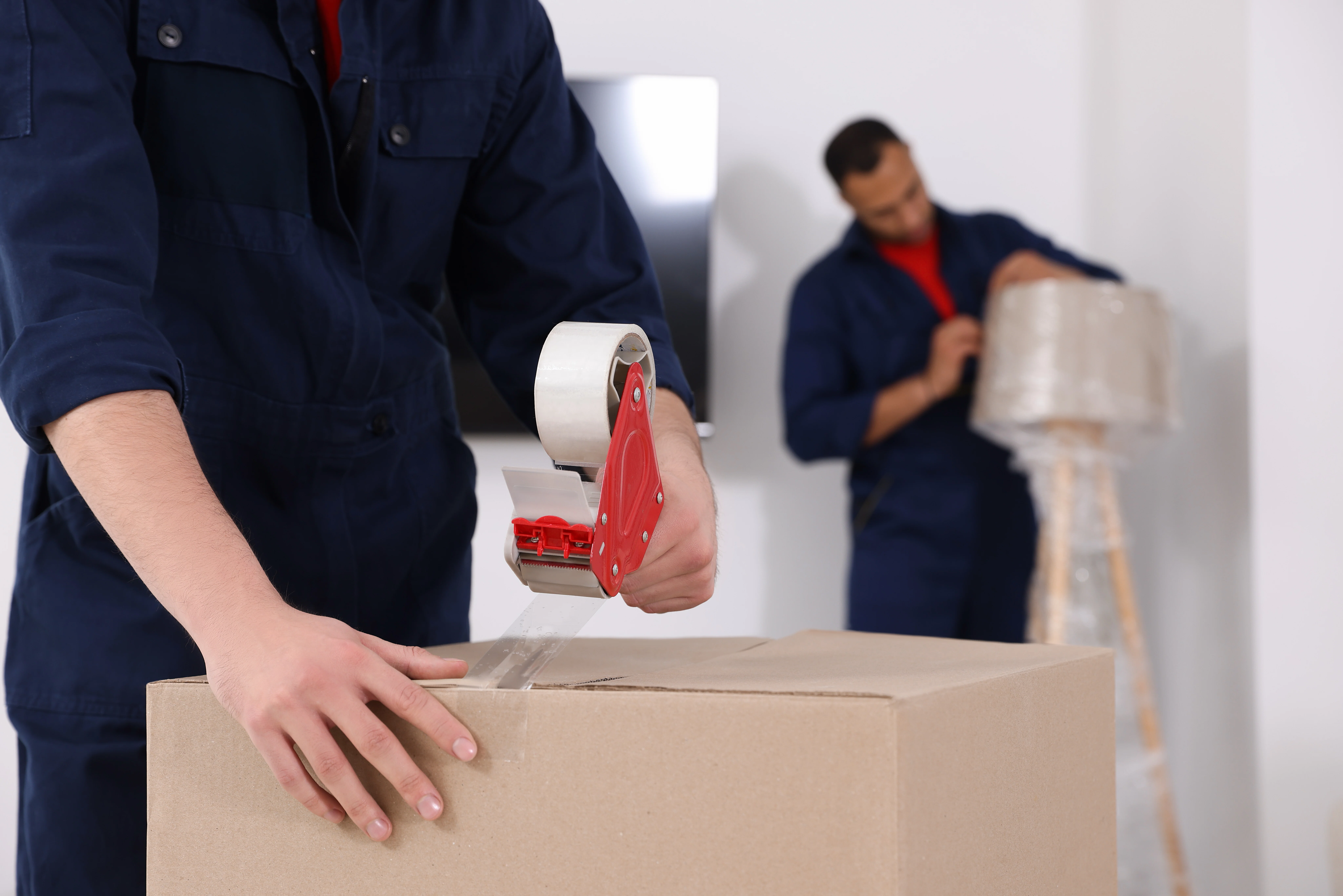 Professional Packing Services